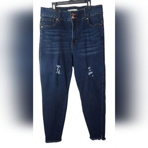Curvalicious Stretch Jeans